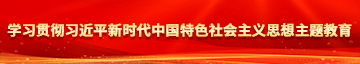 被大鸡巴插骚逼好爽视频学习贯彻习近平新时代中国特色社会主义思想主题教育