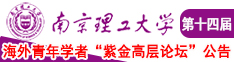 啊啊啊美女日币南京理工大学第十四届海外青年学者紫金论坛诚邀海内外英才！